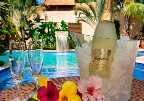 HOTEL-POUSADA-SURUCUA-PAGINA-PRINCIPAL-CARROSSEL-CHAMPAGNE-TAÇAS